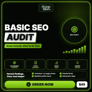 Basic SEO Audit — SerpZenith SEO audit service