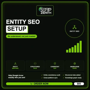 Entity SEO Setup — SerpZenith SEO service