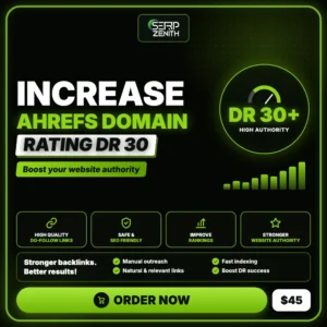 Increase Ahrefs Domain Rating DR 30 — SerpZenith high authority backlink building service