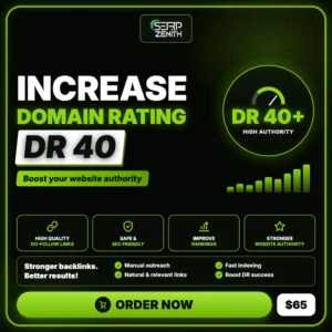 Increase Domain Rating DR 40 — SerpZenith high authority backlink building service