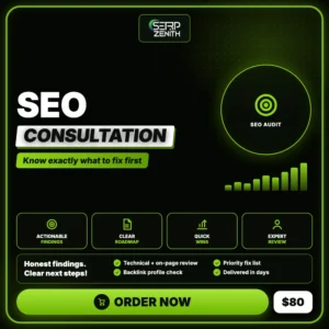 SEO Consultation — SerpZenith SEO audit service